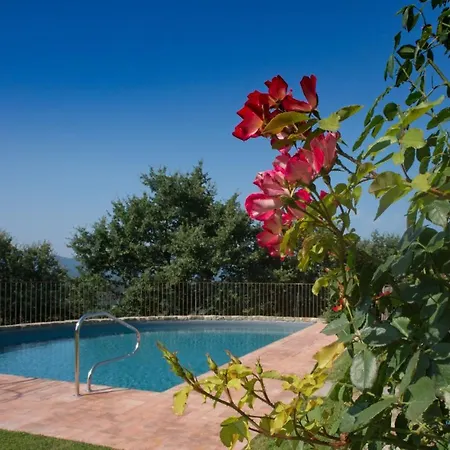 Tinaia - Homelike Villa